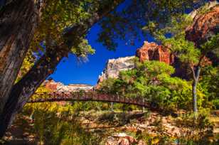 Zion Canyon, Fall-4384 Zion Canyon, Fall-4384